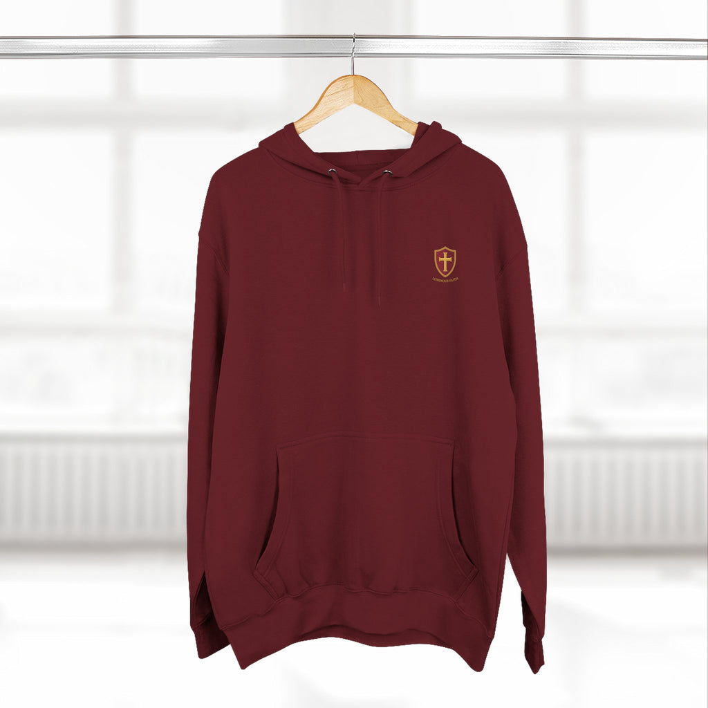 Luminous Faith Paladin Hoodie