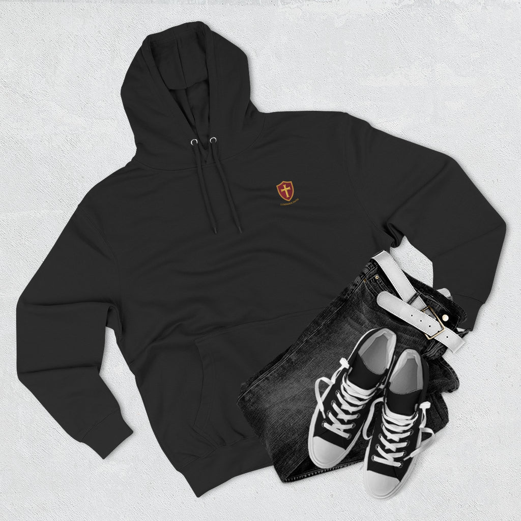 Luminous Faith Paladin Hoodie