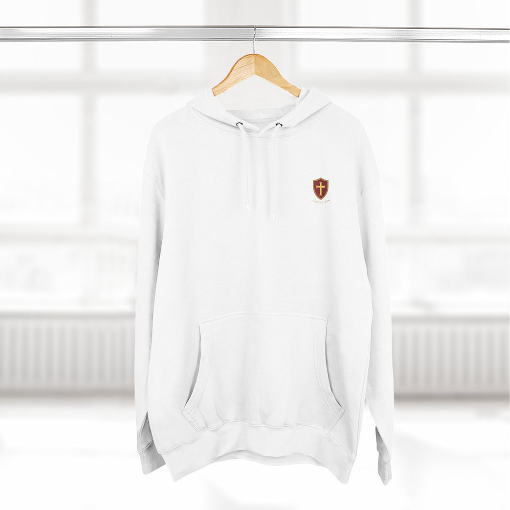 Luminous Faith Paladin Hoodie